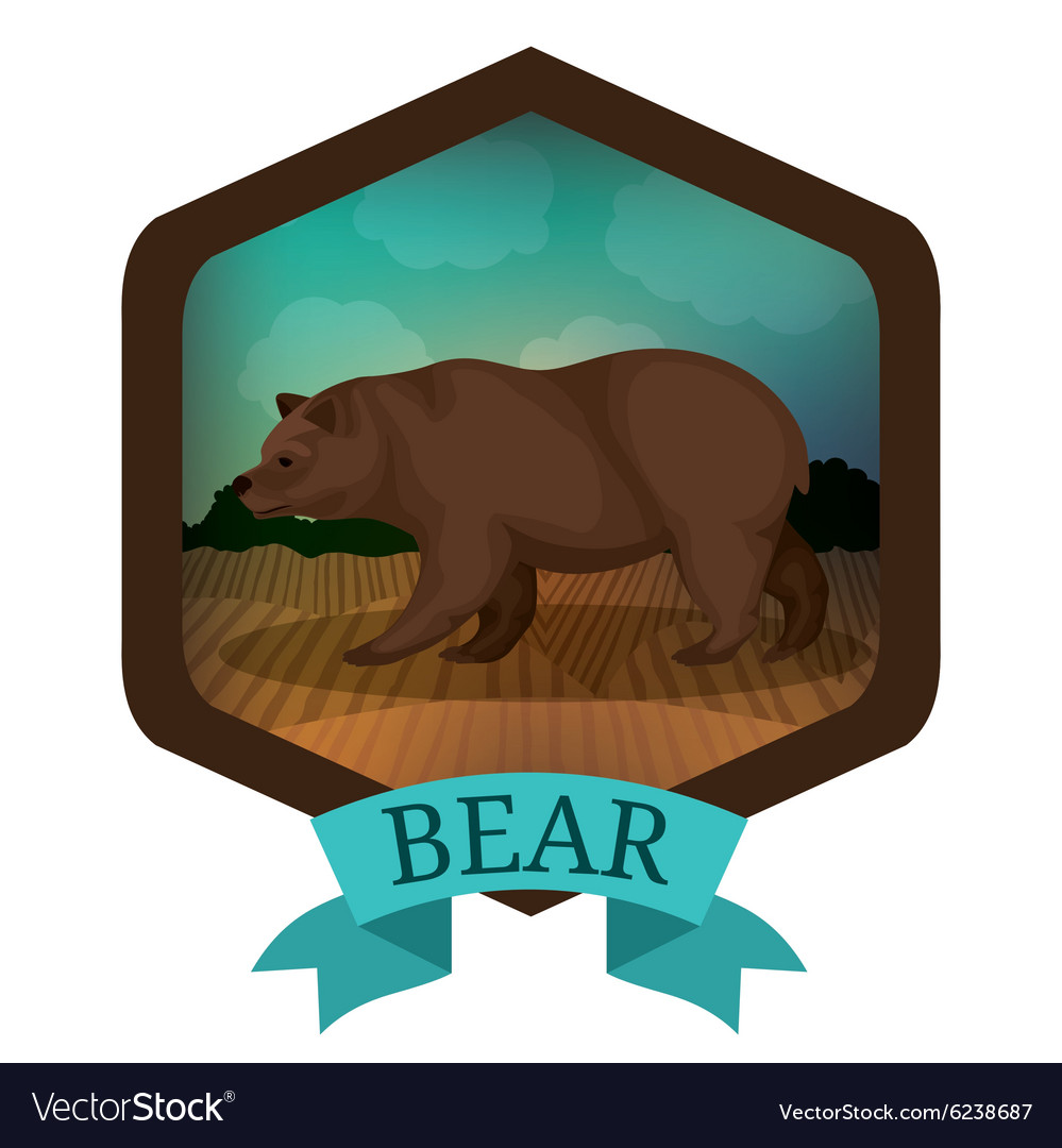 Bear design