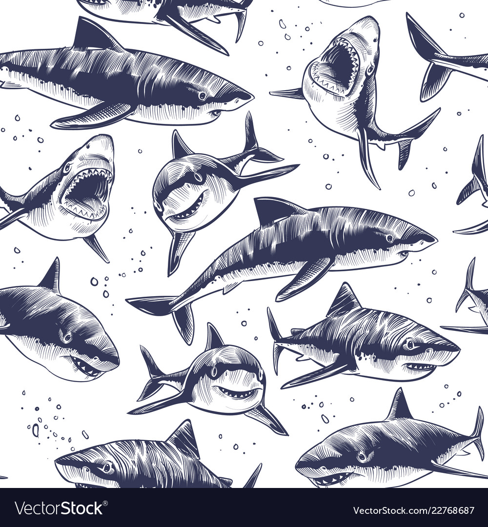 sharks seamless pattern hand