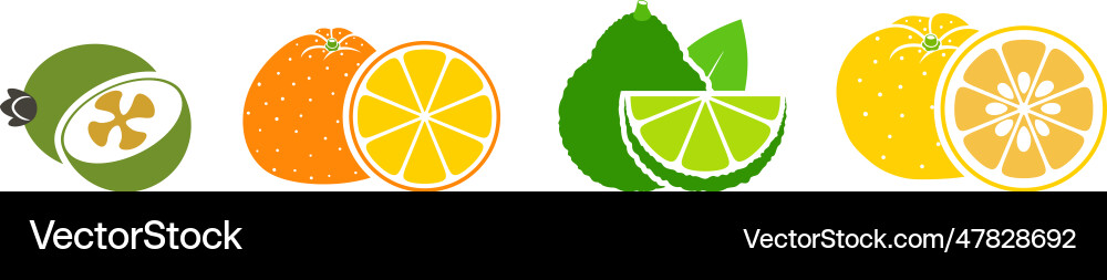 Fruit Royalty Free Vector Image - VectorStock