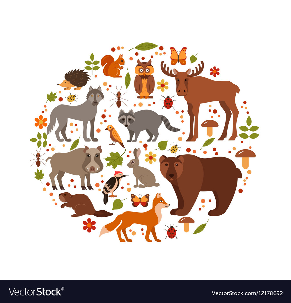 Set of forest animals Royalty Free Vector Image