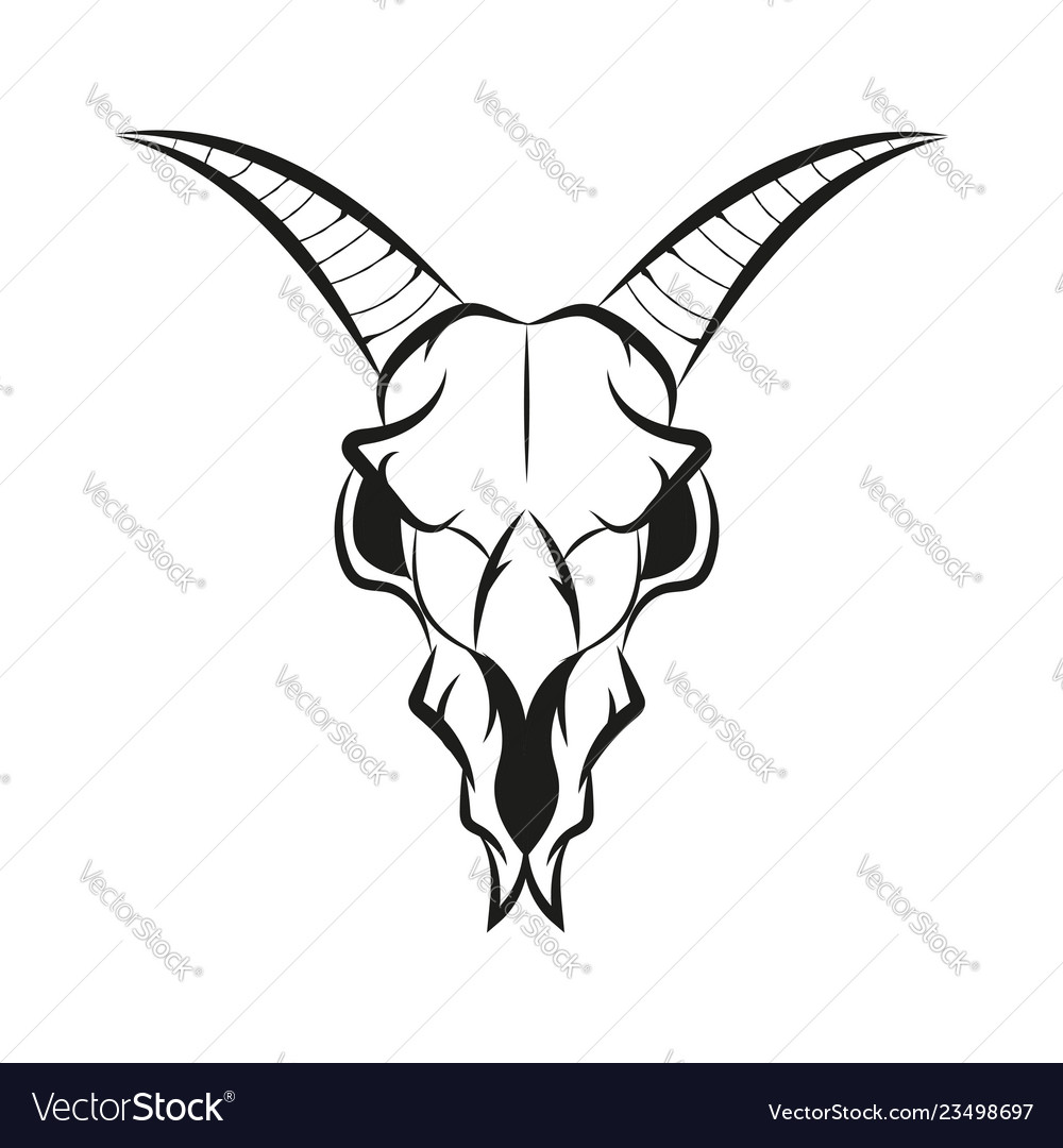 Goat skull Royalty Free Vector Image - VectorStock