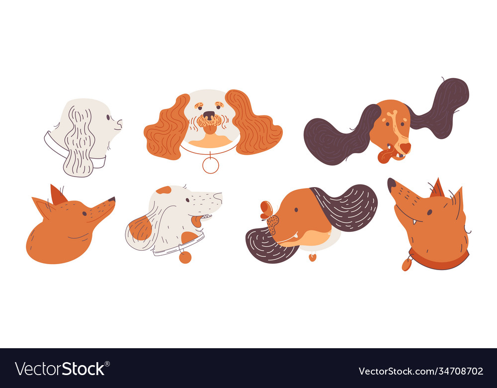 Collection with various dog heads isolated