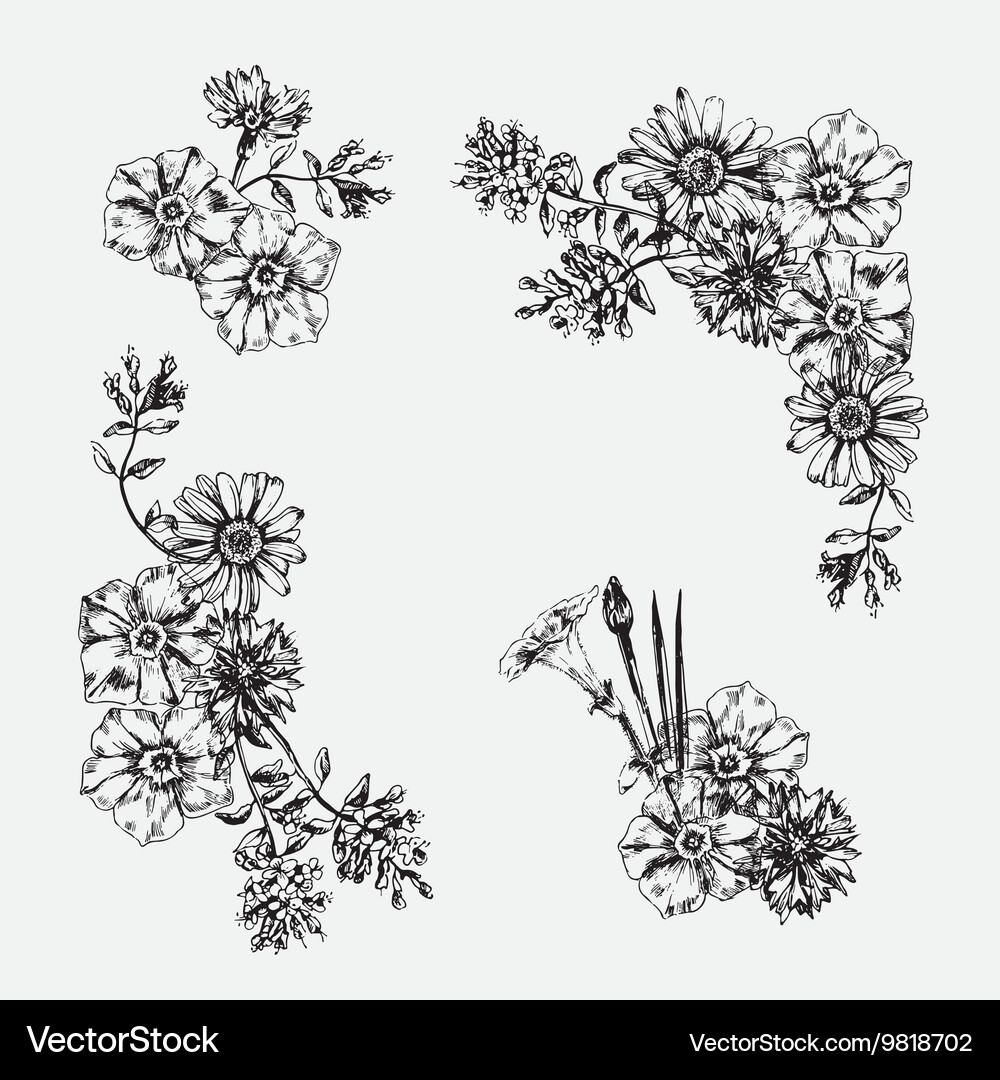 Hand drawn Royalty Free Vector Image - VectorStock