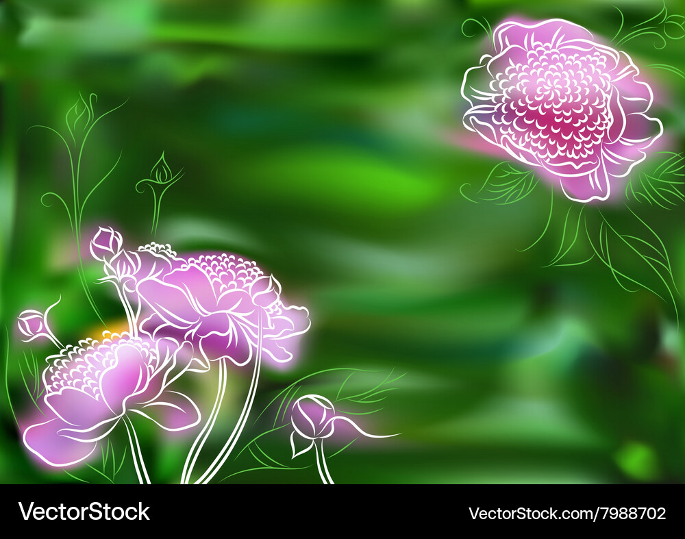 Peony Royalty Free Vector Image - VectorStock