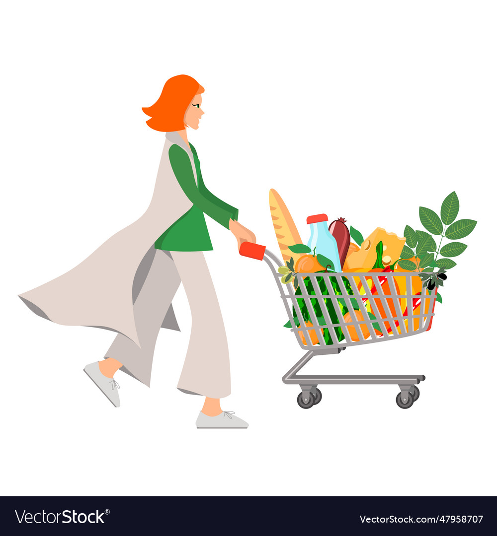 A girl carries groceries in cart Royalty Free Vector Image