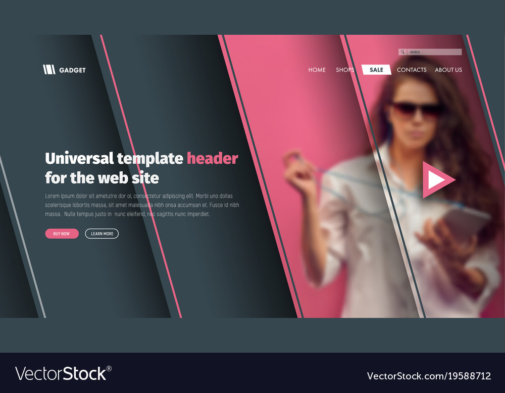 Modern template header site with a place for Vector Image