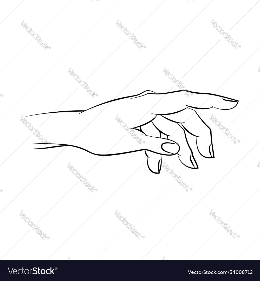 Elegant woman hand outline vector illustration. Body language hand drawing  Stock Vector Image & Art - Alamy