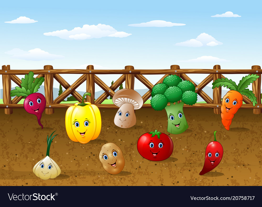 Vegetable Garden Cartoon Images - Vegetarian Foody's