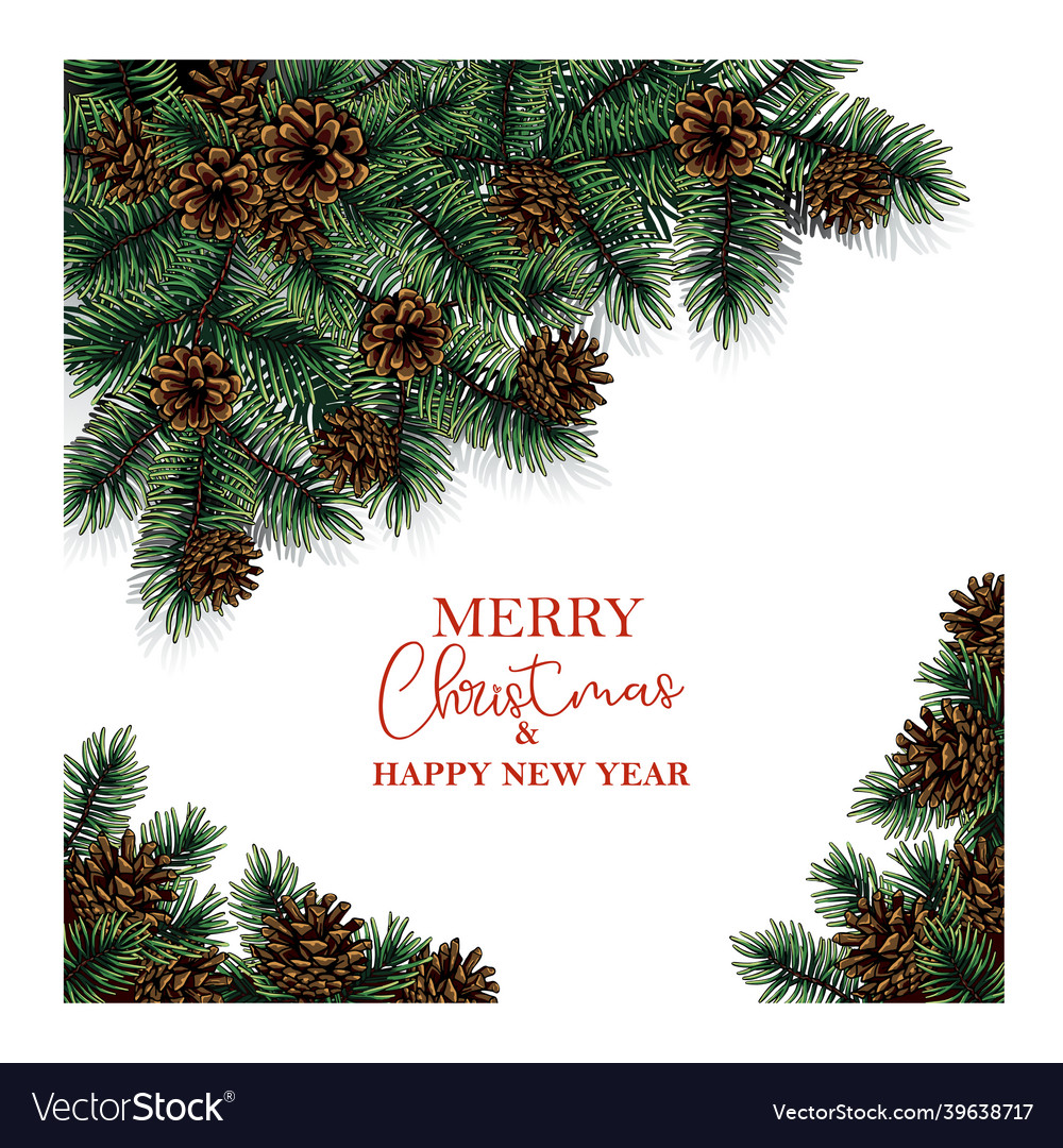 Christmas tree branches with cones Royalty Free Vector Image