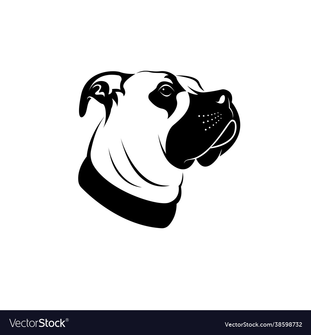 A dog head great dane or german mastiff or danish Vector Image