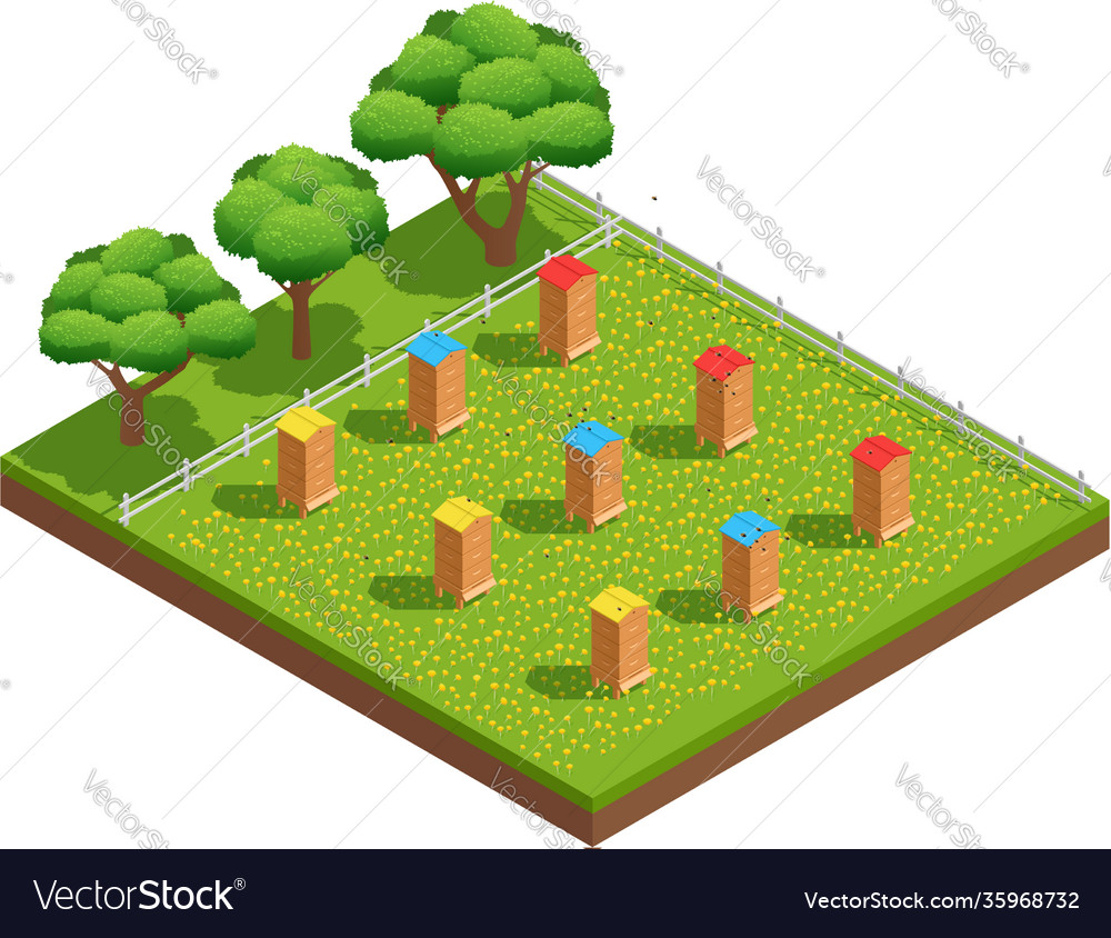 Isometric composition beekeeping apiary