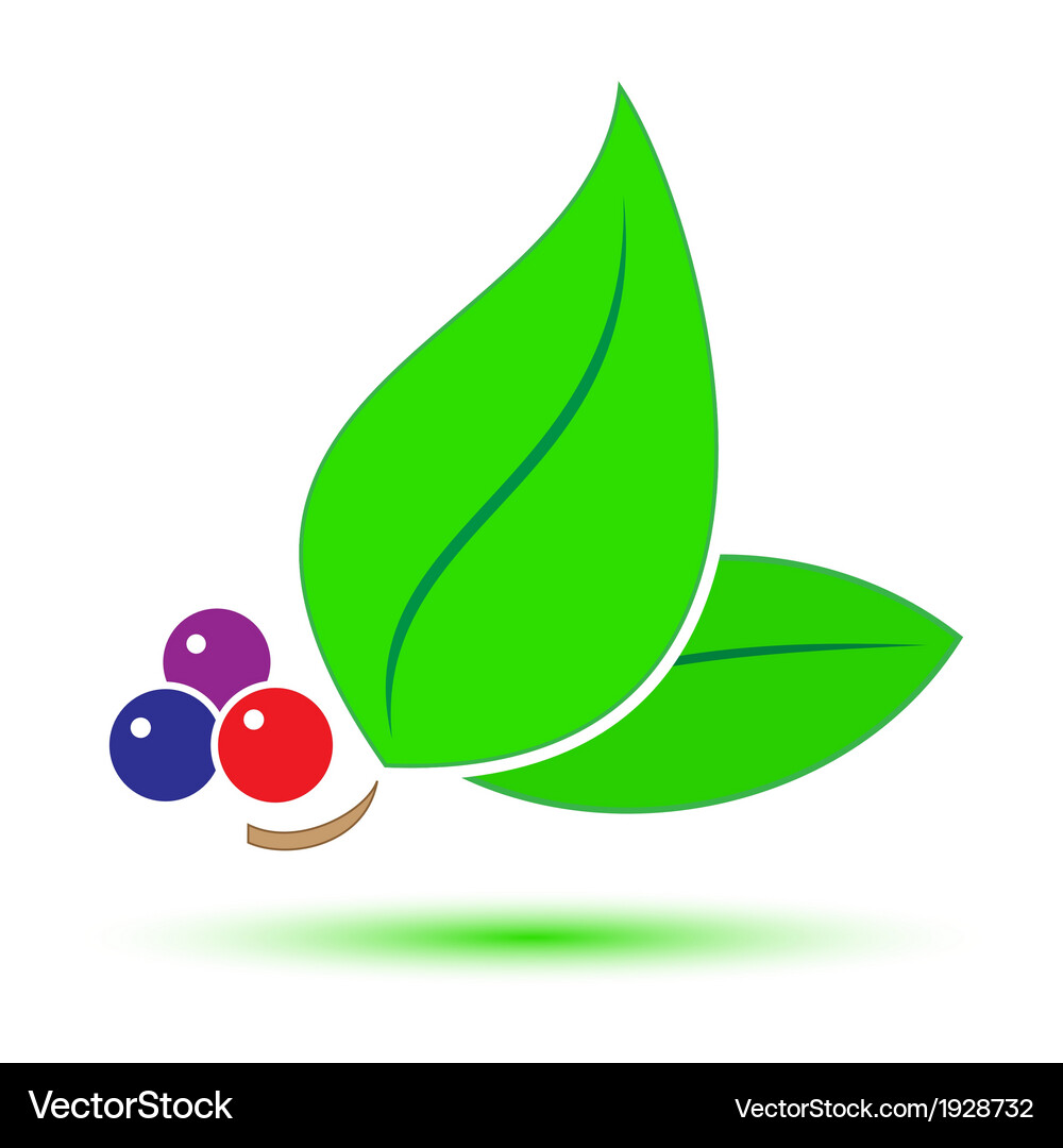 Leaf icon Royalty Free Vector Image - VectorStock