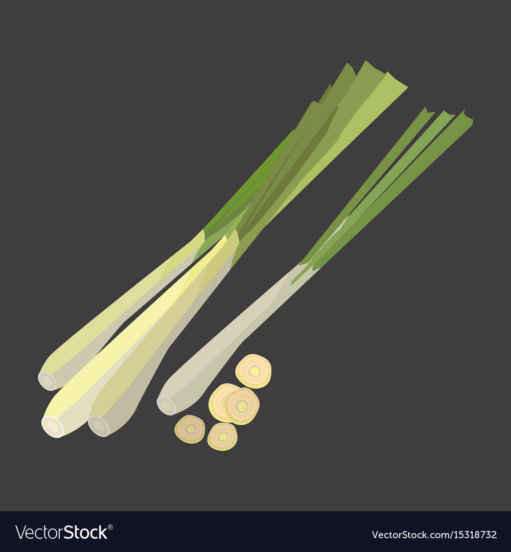 Lemon grass with slice flat design