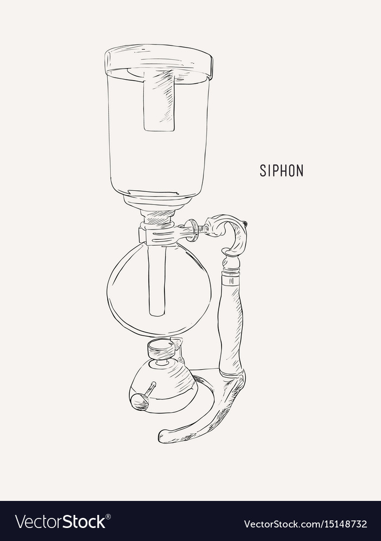 Siphon Or Syphon Coffee Machine Sketch Vector Image Siphon Or Syphon Coffee Machine Sketch Vector Image