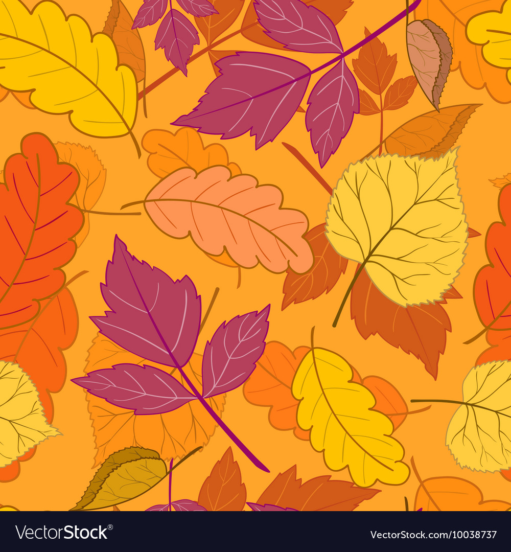 Autumn leaves on orange Royalty Free Vector Image