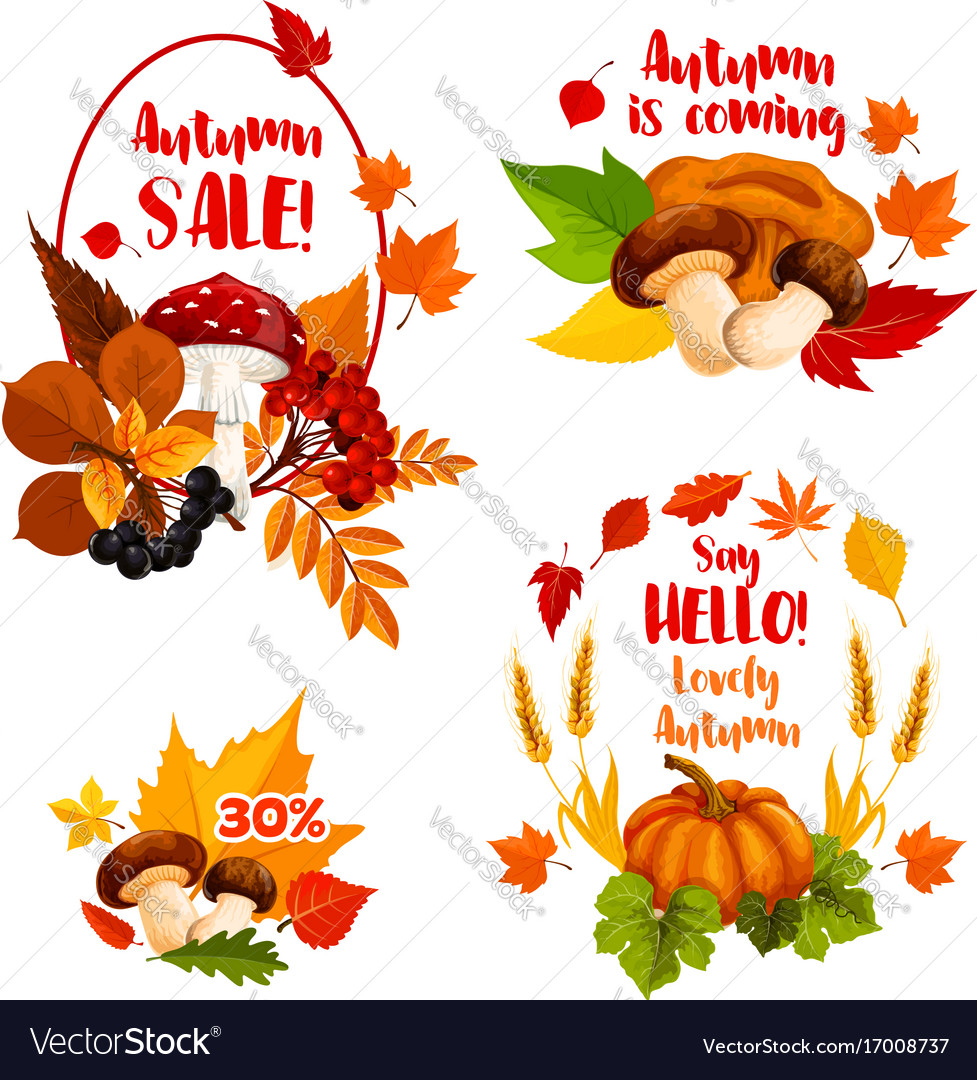 Autumn sale discount shopping icons set Royalty Free Vector