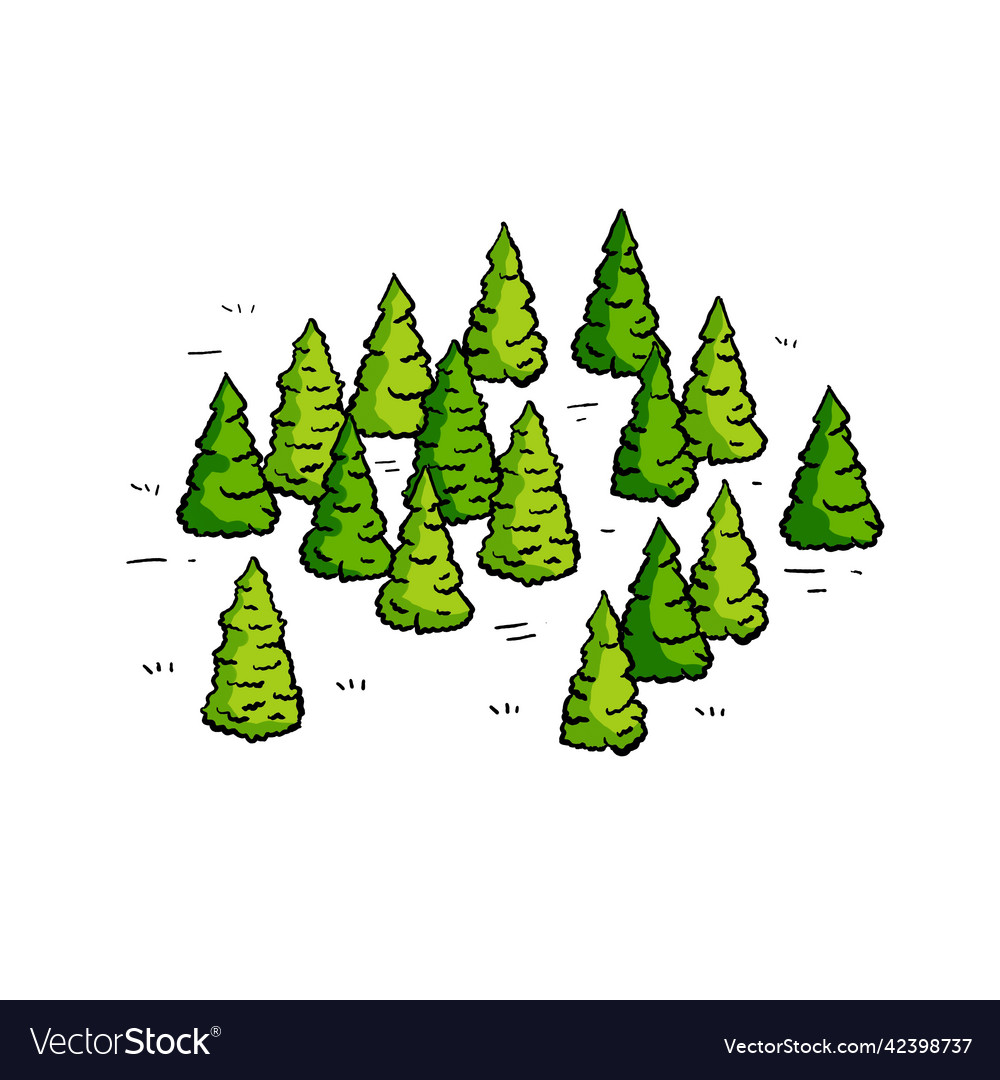 Christmas trees in green forest