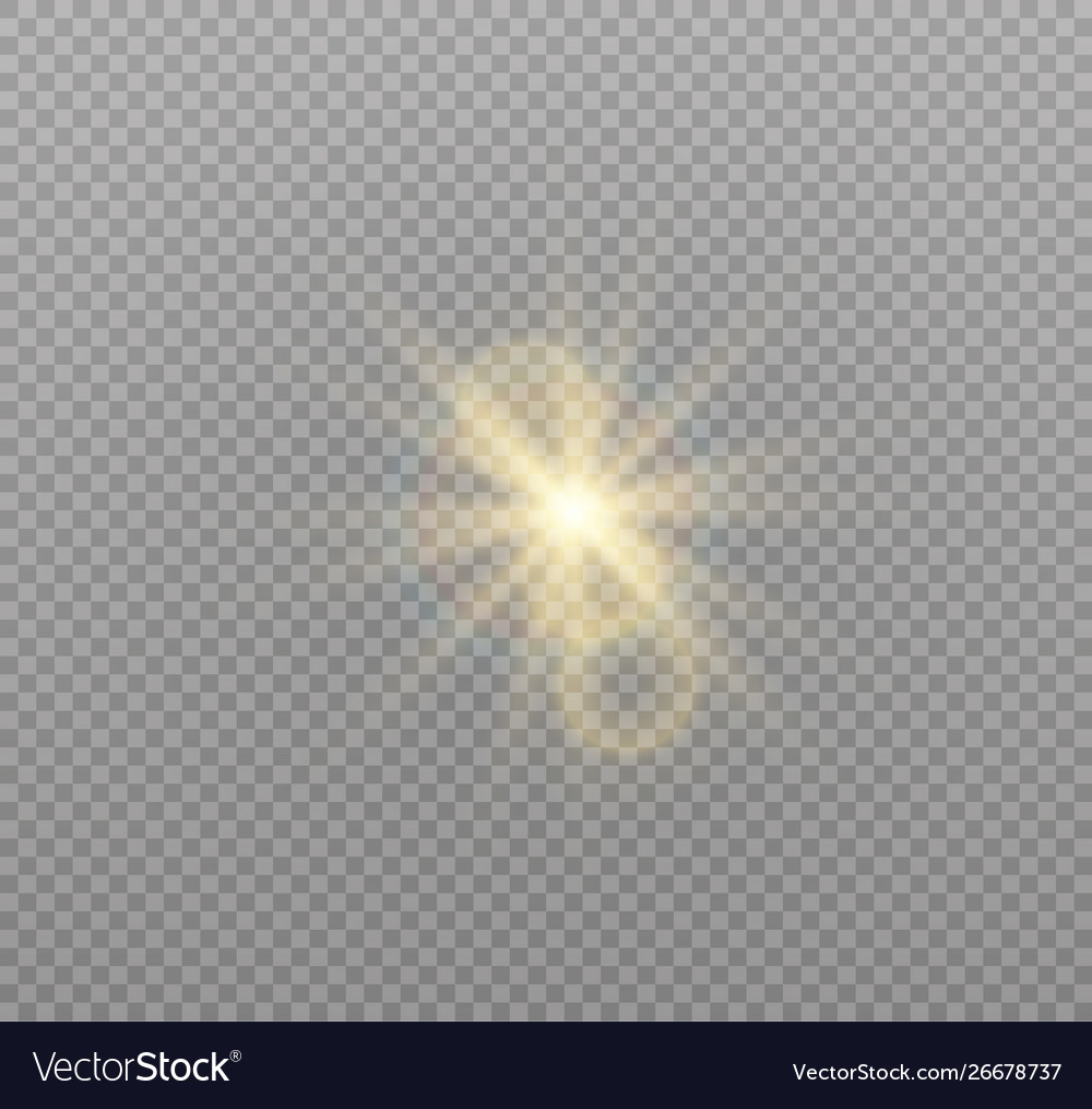 Sunlight a translucent bokeh