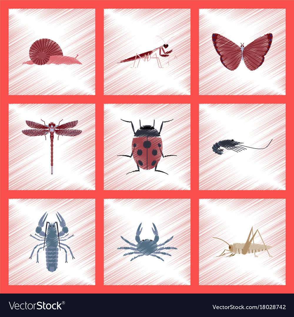 Assembly flat shading style bug snail butterfly