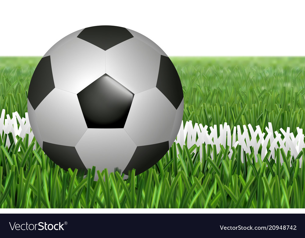 Ball on line in field Vector Image Ball on line in field
