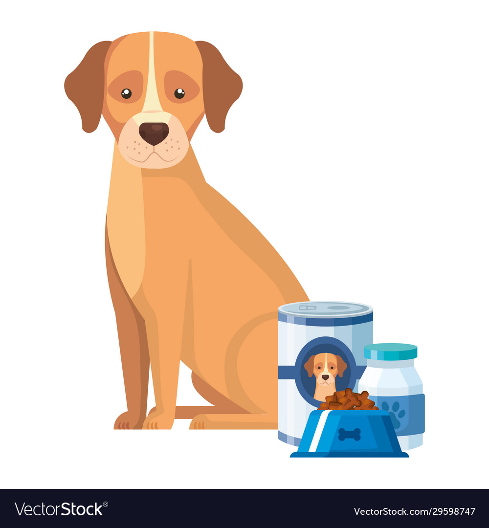 Cute dog with bottle medicine and food Royalty Free Vector Cute dog with bottle medicine and food Royalty Free Vector