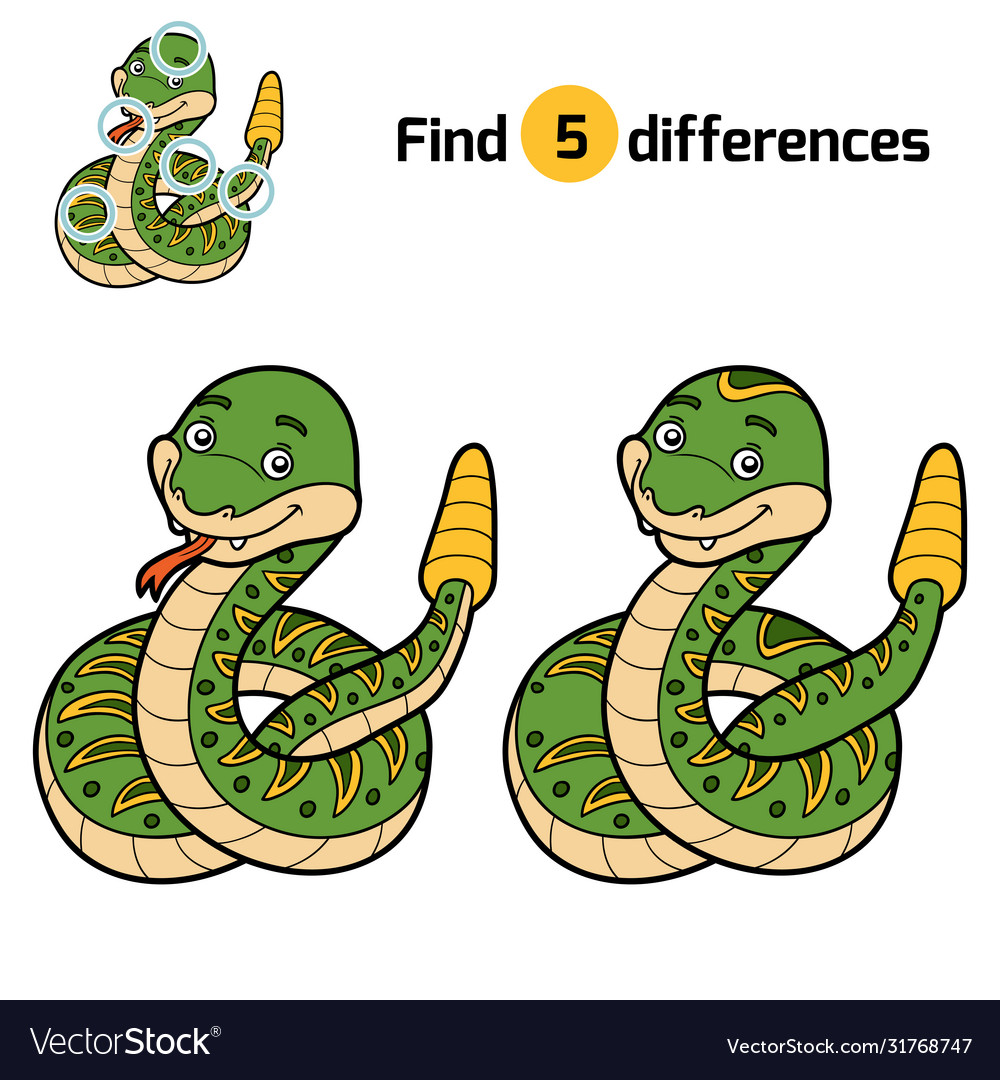 Find Differences Rattle Snake Royalty Free Vector Image