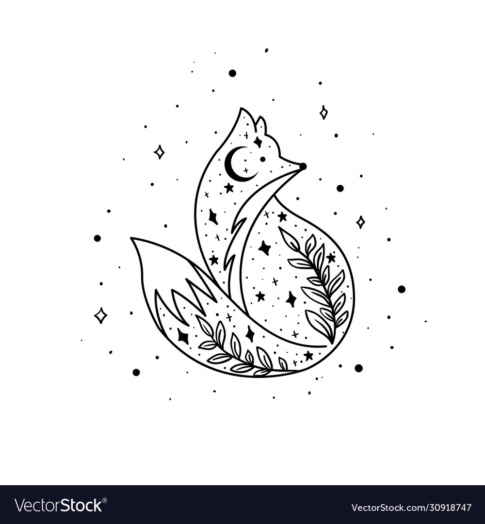 Mystical fox with moon and stars stars vector image Mystical fox with moon and stars stars
