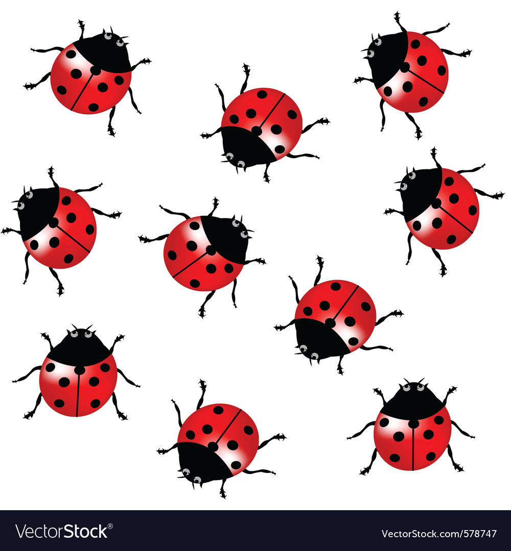 Seamless ladybugs Royalty Free Vector Image - VectorStock