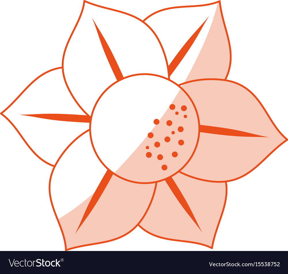 Delicate flower icon image