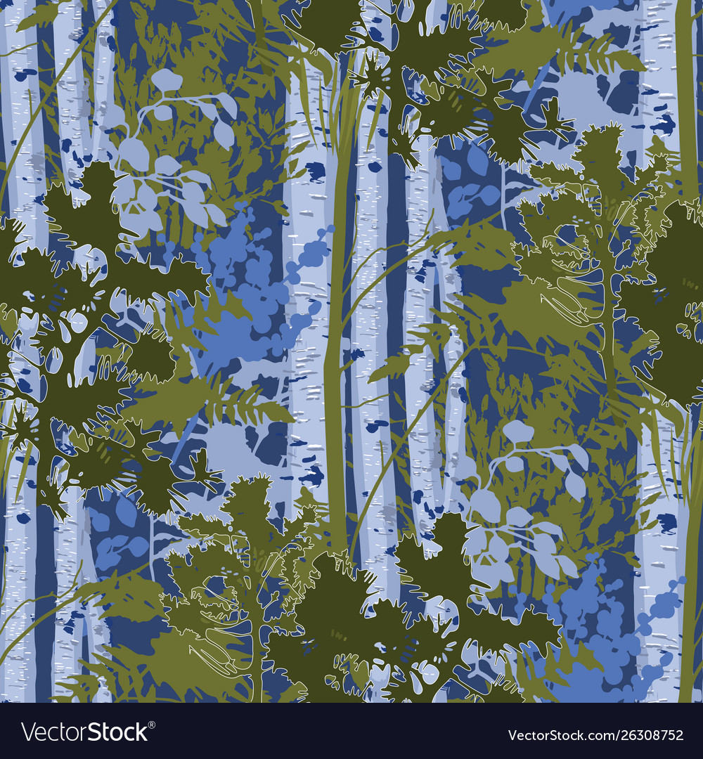 Mixed forest landscape fir trees birch trees Vector Image