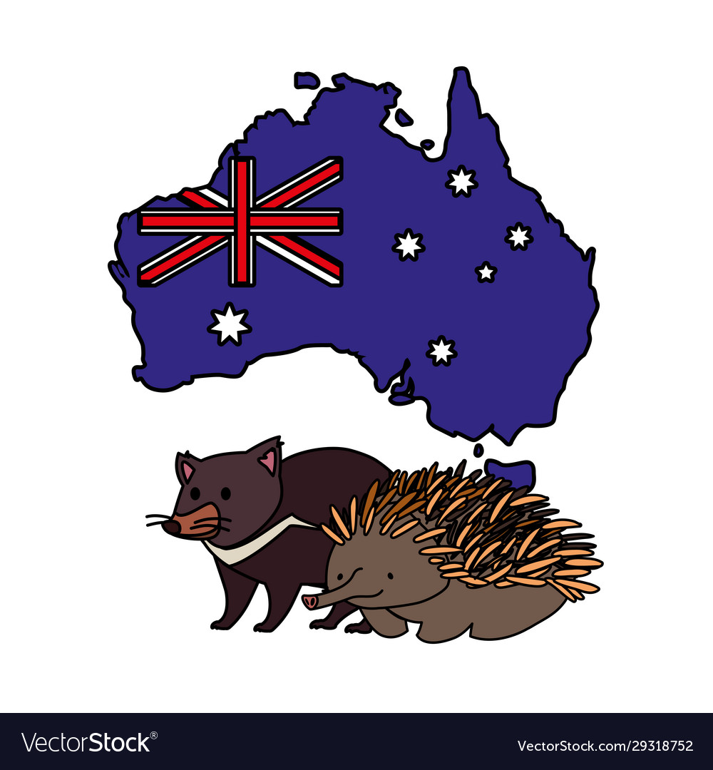 Tasmanischer Teufel und Echidna mit Karte australia