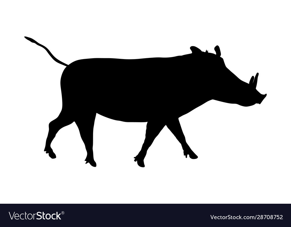 Warthog silhouette isolated Royalty Free Vector Image