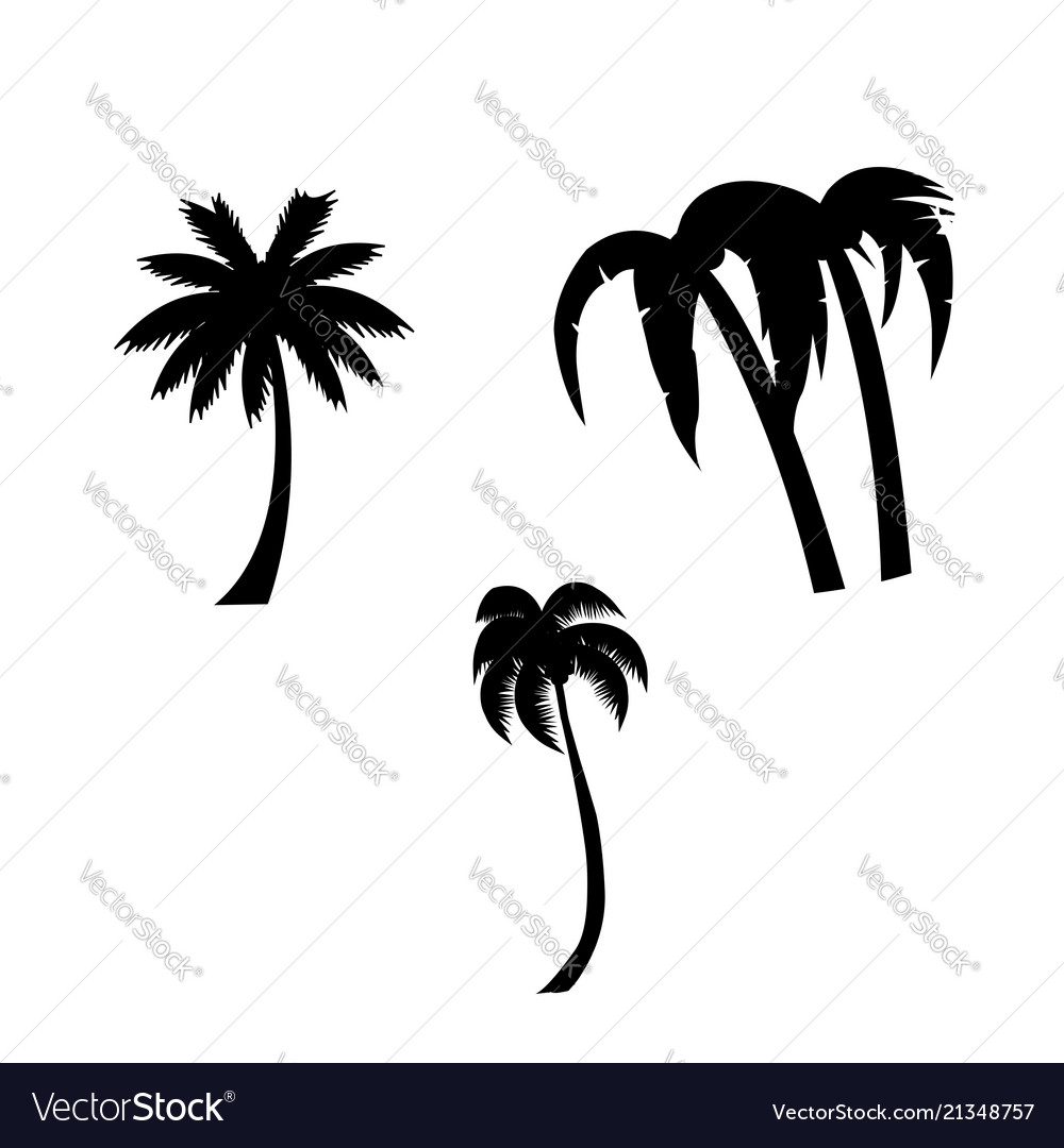Palm trees icon set isolated on white background vector image Palm trees icon set isolated on white background