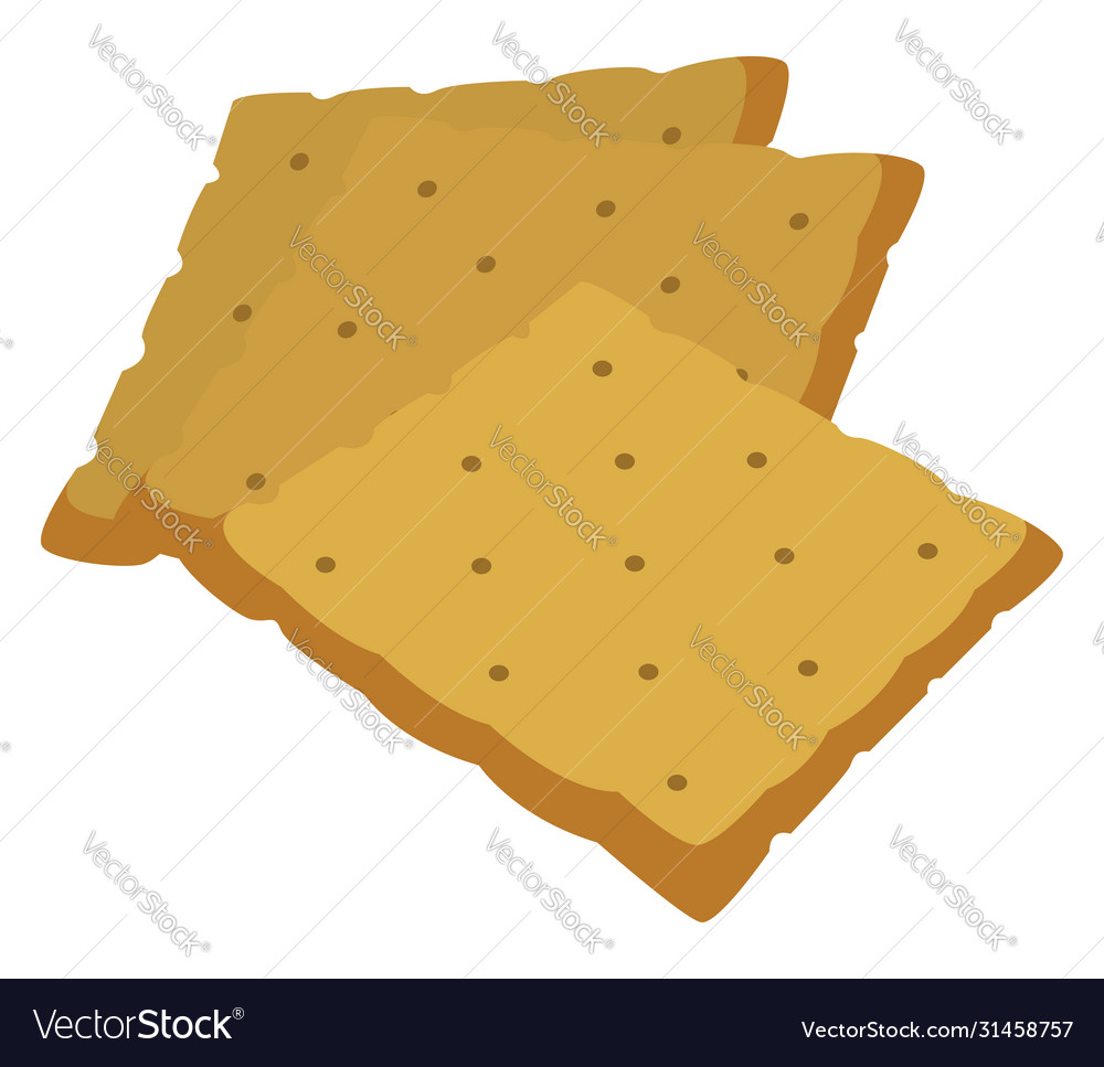 Salt crackers on white background Royalty Free Vector Image