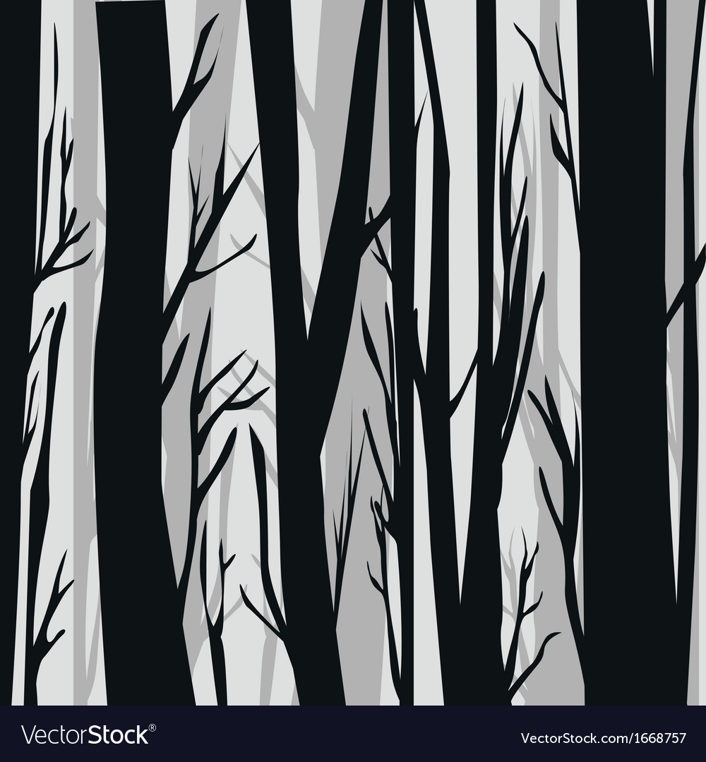 Winter Forest Scene