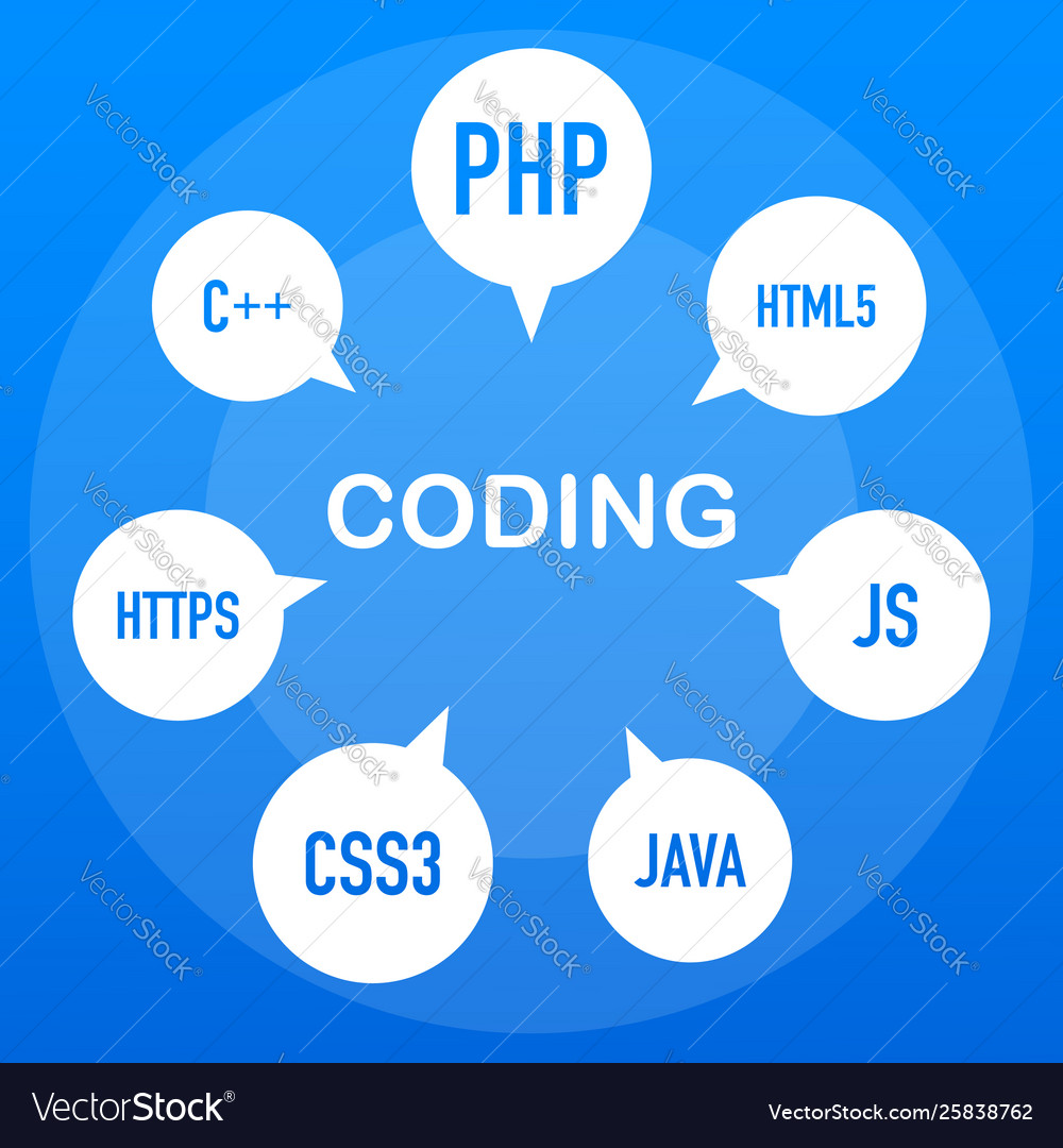 Web development infographic programing skill vector image Web development infographic programing skill