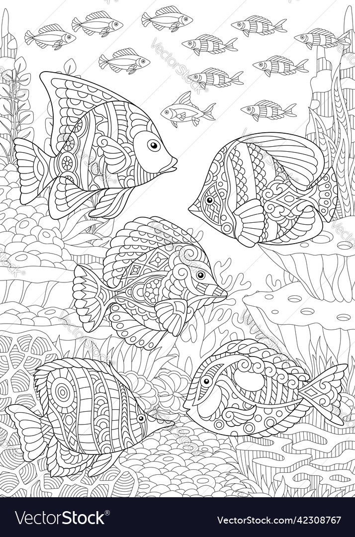 Entangle tropical fishes