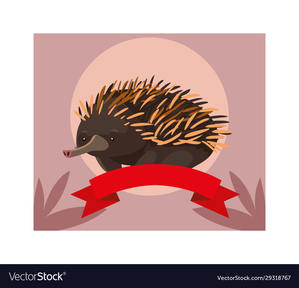 Grußkarte mit australischer echidna