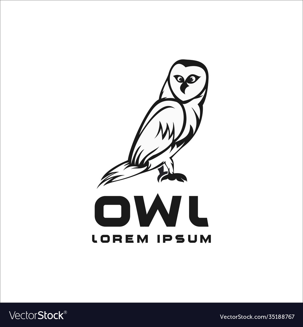 Owl Logo schwarz und weiß Vorlage modern