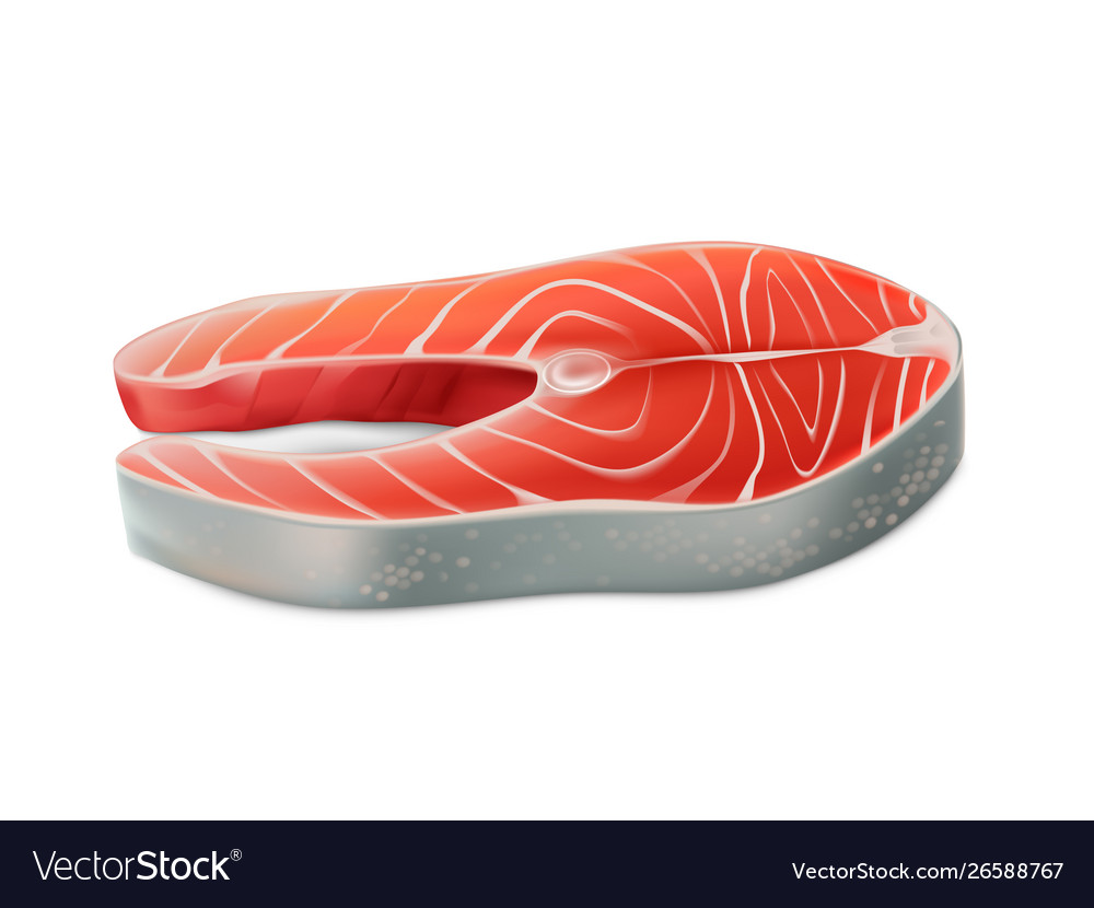 Raw fish fresh salmon steak seafood product Vector Image