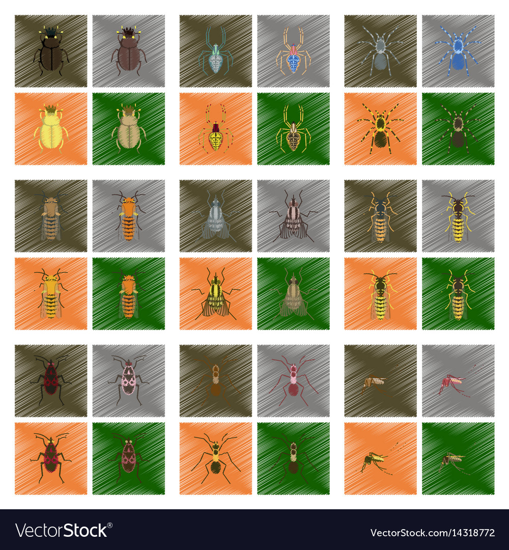 Assembly flat shading style insect