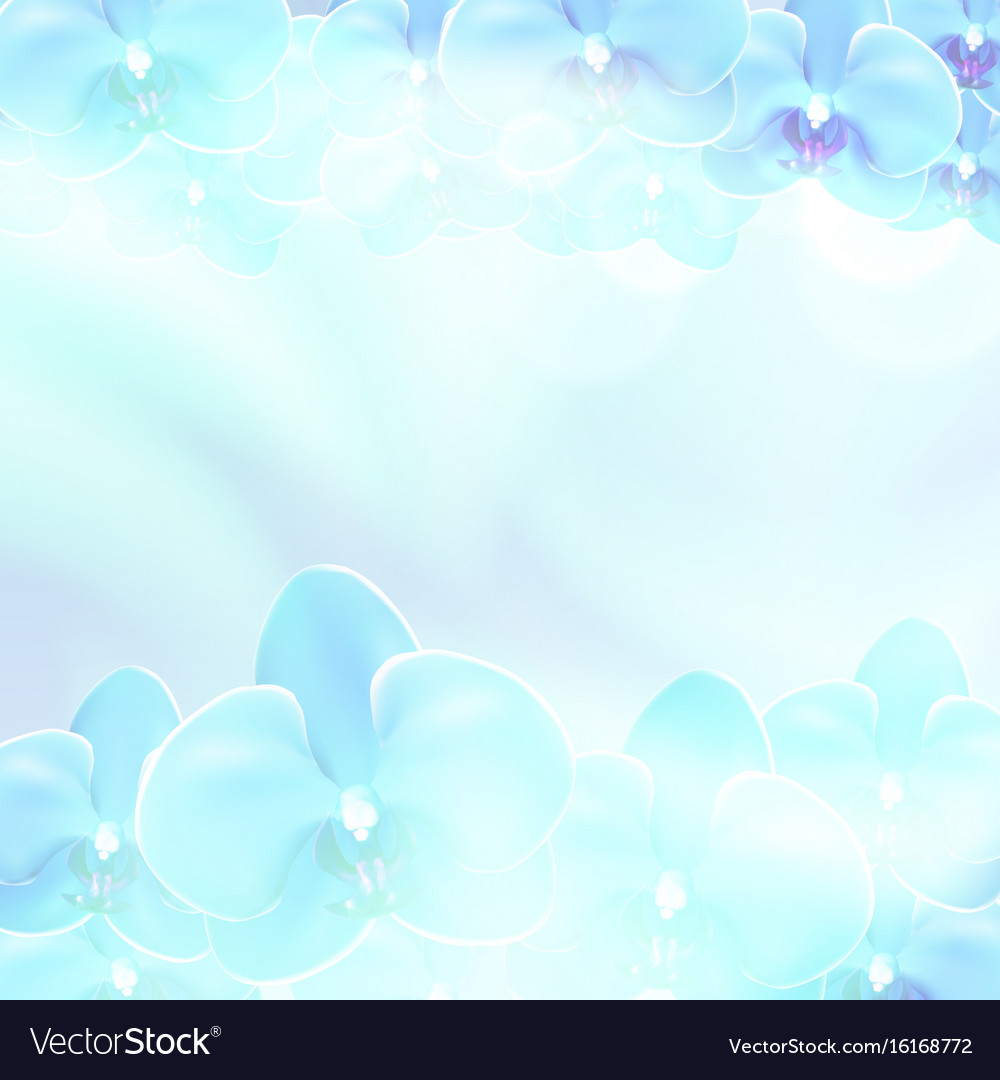 Blaue Blume Orchideen Hintergrund