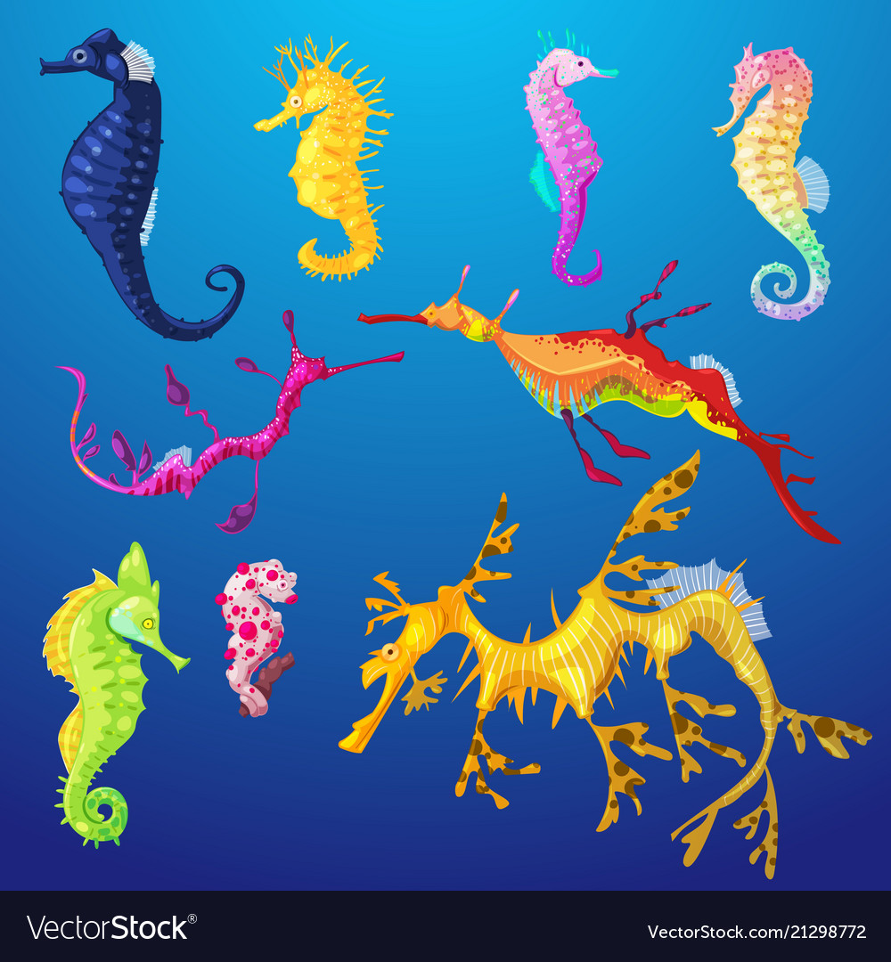 Seahorse seafish character or cartoon sea vector image Seahorse seafish character or cartoon sea