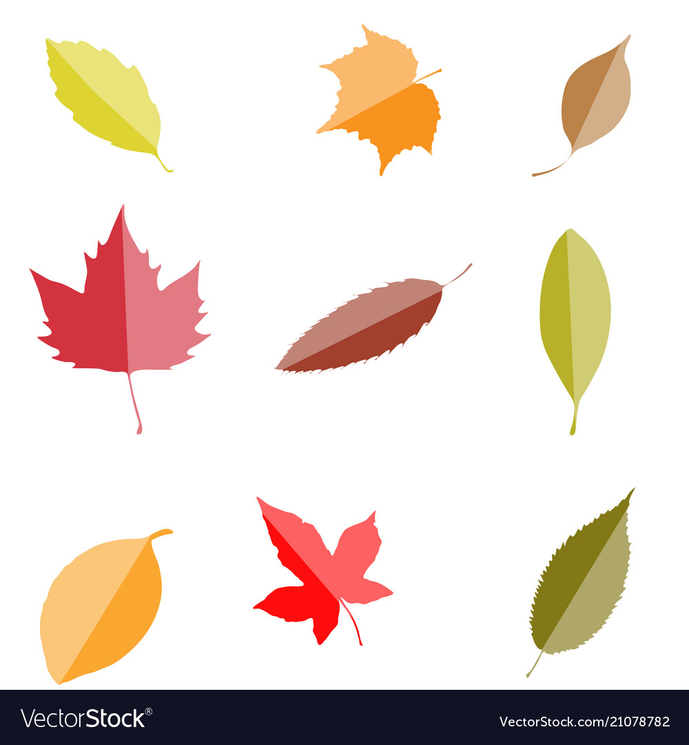 Fall leaves set isolated on white background aut