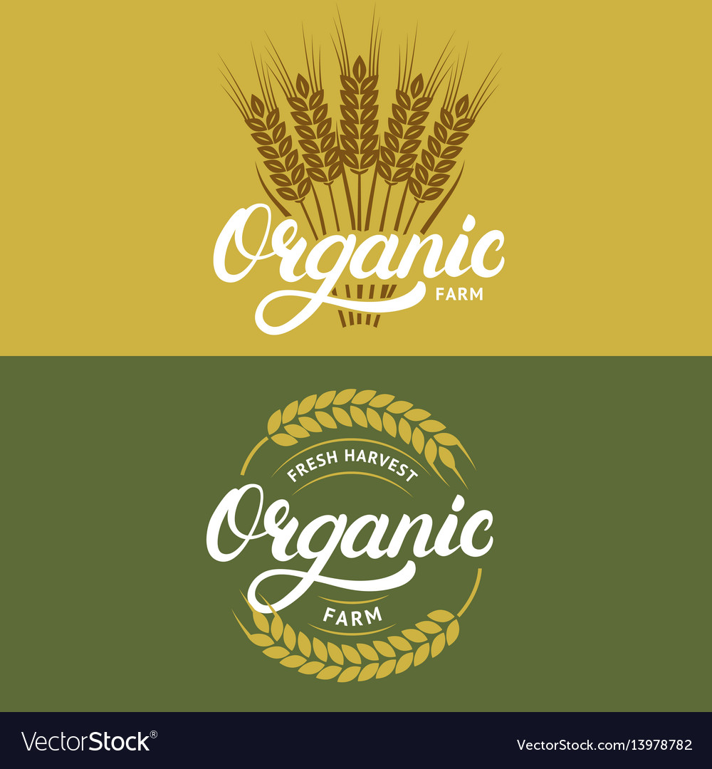 Set of organic farm hand written lettering logos vector image Set of organic farm hand written lettering logos