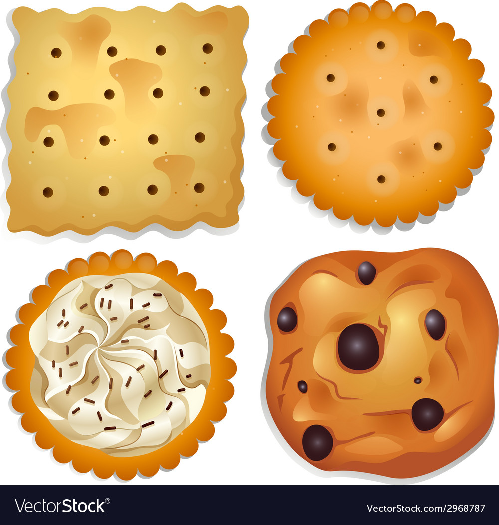 wallpapers Cookie Vectorstock vectorstock