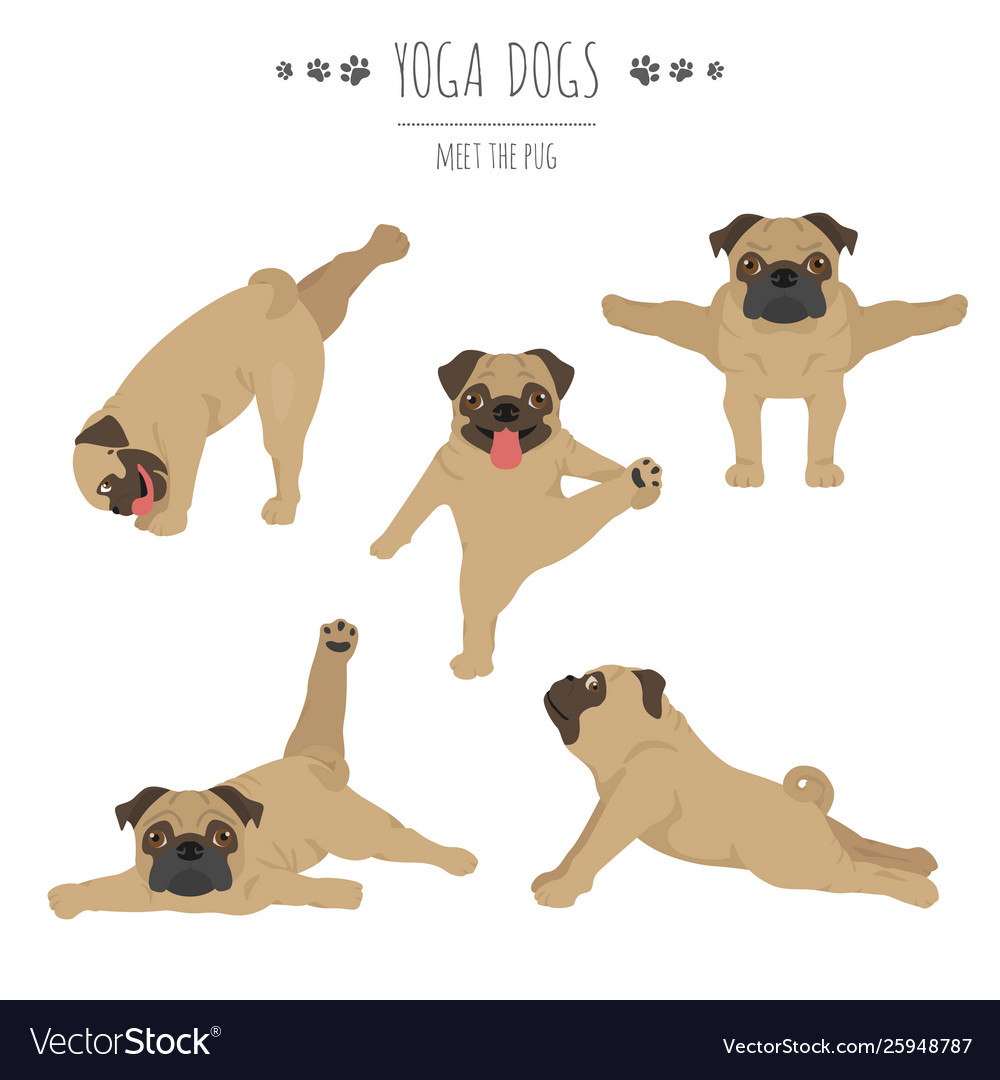 Yoga Pugs in Dog Poses