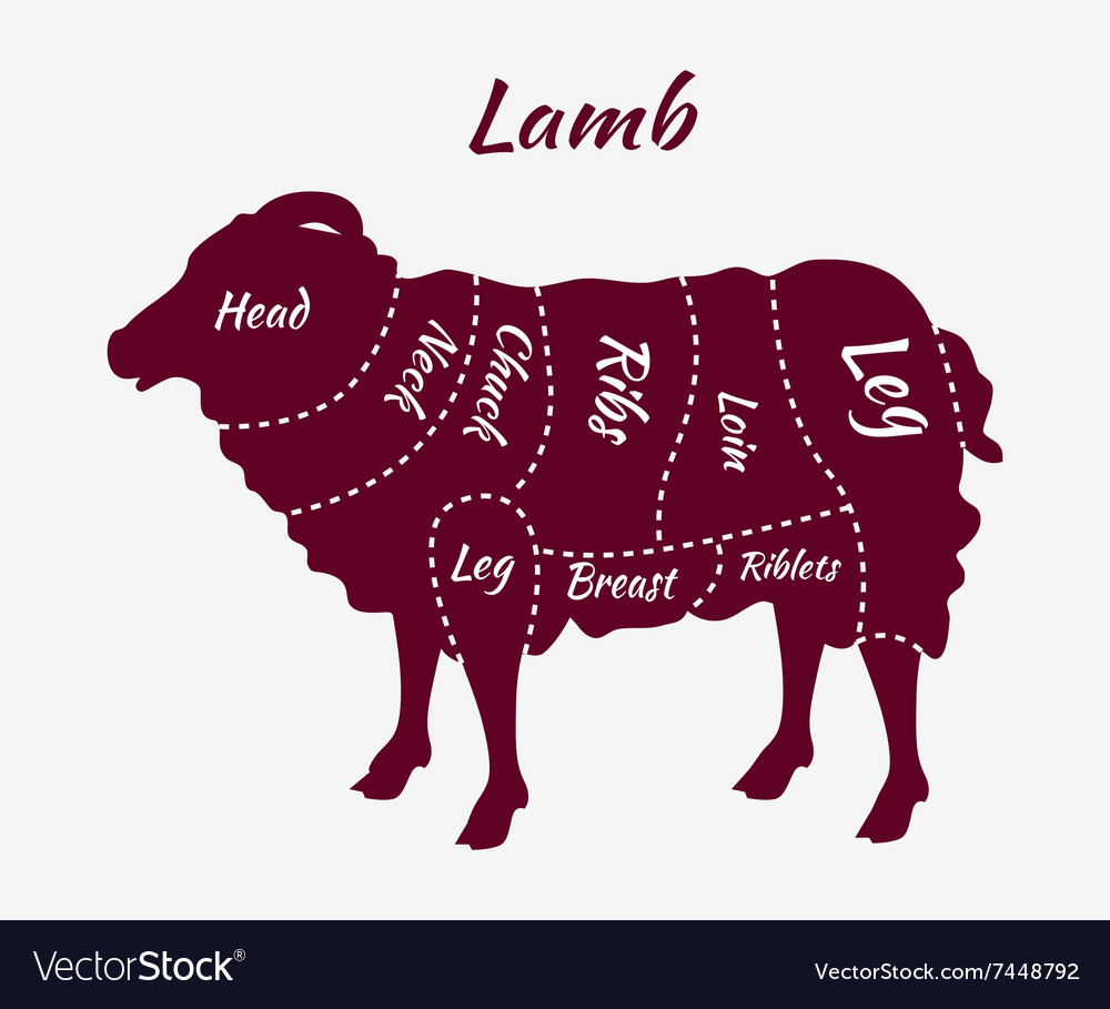 Cuts Of Lamb Mutton Chart Butcher Meat Restaurant And Fine Dining By ...