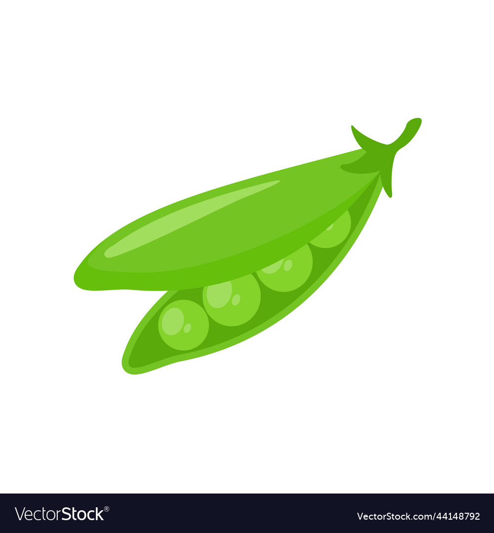Green peas ingredients for healthy cooking Vector Image