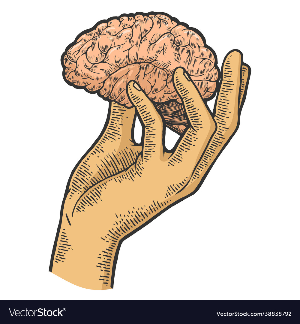 Human brain in hand sketch